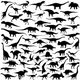 Image for article titled Some dinosaurs may have been in trouble even without the asteroid
